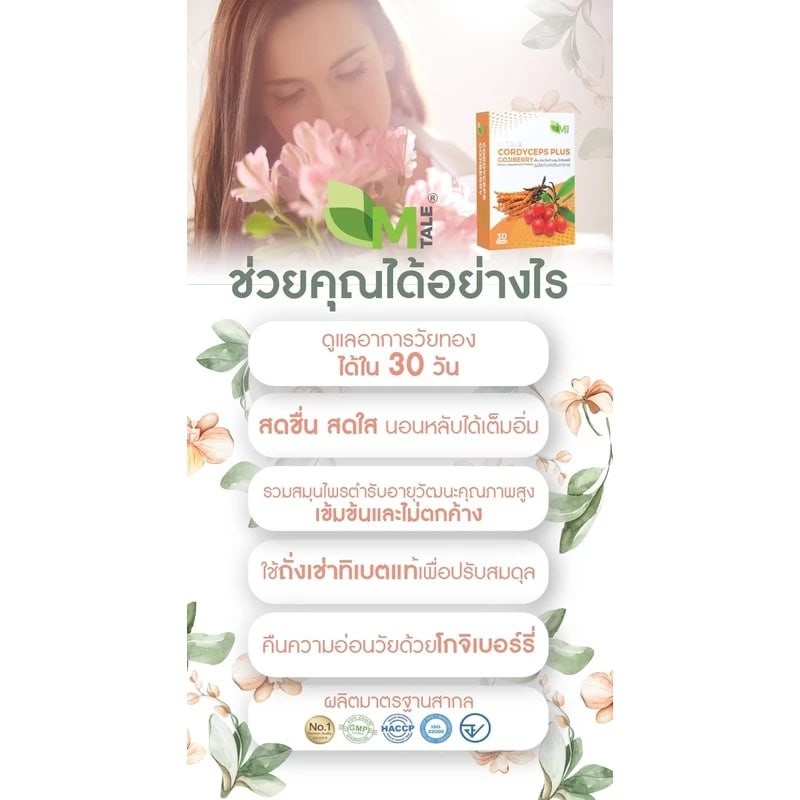 M Tale(เอ็ม เทล)